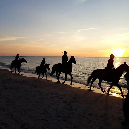 Agro-chata Farma Jezierzany