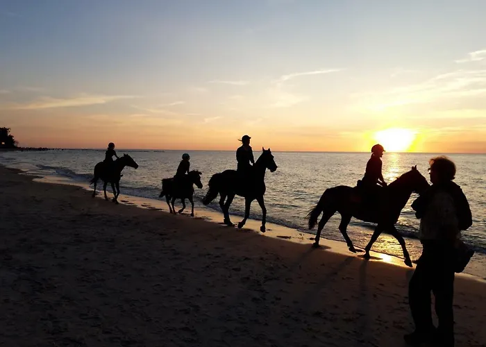 Agro-chata Séjour à la ferme Jezierzany